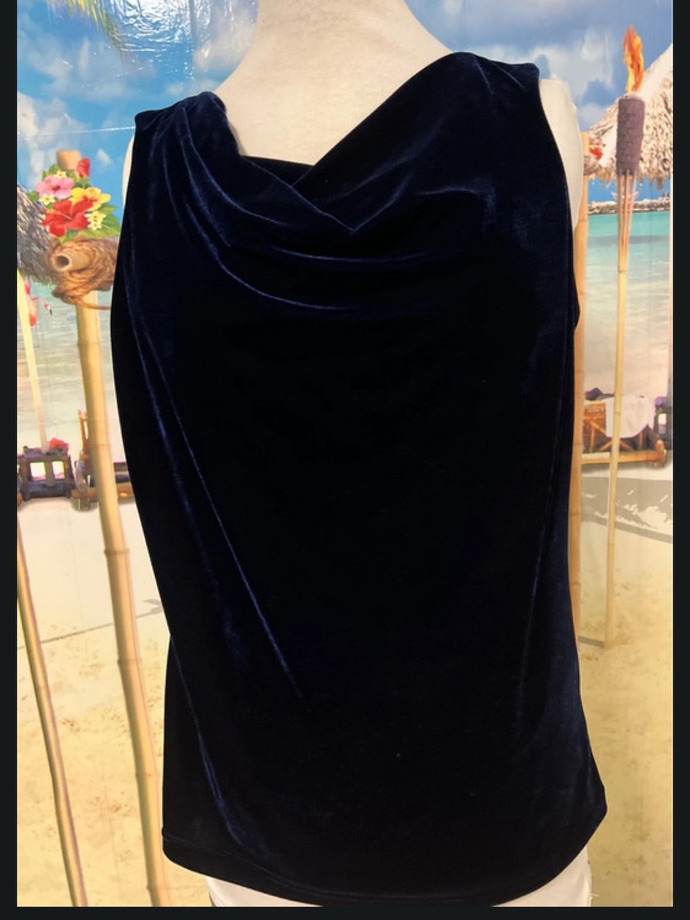 Blue Velvet Blouse